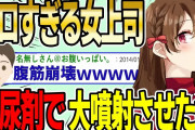 【2ch面白スレ】エ〇すぎる女上司を利尿剤で大噴射させたwwww【ゆっくり解説】