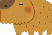 彡(^)(^)「カピバラ飼い始めたで！可愛いやろ」