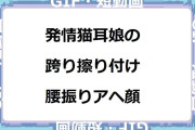 発情猫耳娘の跨り擦り付け腰振りアヘ顔オナニー
