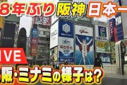 【速報】阪神タイガース 38年ぶり日本一！！！！！！！
