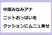 中原みなみアナ｜ニットおっぱいをクッションにムニュ乗せ！モーサテわからん