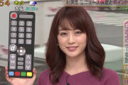 【画像】新井恵理那アナのニットおっぱいデッケエえええｗｗｗｗ