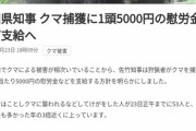 【画像】秋田県で狩猟解禁→ツキノワグマ1頭に5,000円の報奨金