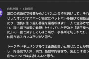 TKO木下謝罪動画のコメント欄が木下の悪行報告だらけでワロタwww