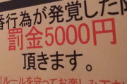 【画像】「AVにモザイク」「風俗は本番禁止」←ジャップってアホじゃね？？