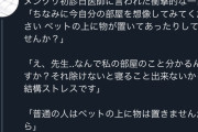 【衝撃】健常者はベッドの上に寝具以外は置かないことが判明