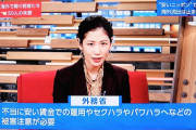 【正論】日本政府「海外移住なんて不当に安い賃金でこき使われセクハラパワハラ被害に遭うのがオチ」
