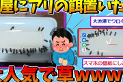 【画像】部屋にアリのエサ置いたら大人気でワロタ→予想外の結果にwww【2ch面白いスレ】
