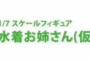 【悲報】ライザの人、やっぱり性癖を隠しきれない