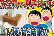 【2ch面白いスレ】家族全員で息子の一人いじりを阻止し続けた結果wwww【ゆっくり解説】
