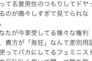 フェミを馬鹿にした女性YouTuber、無事名誉男性に認定される