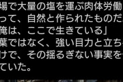 【悲報】カメラマン｢この筋肉はジムで鍛えられたではなく肉体労働によって自然と作られた｣→ ボディビルダーブチ切れ大炎上