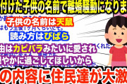 【2ch修羅場】俺「やっぱり笑われる名前は変だよ」嫁「あなたは娘より世間体の方が大事なの？」嫁に子供の名付けを任せたというイッチ→その結果、最悪の事態に…【ゆっくり解説】