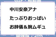 中川安奈アナ　たっぷりおっぱい！お辞儀＆腕ムギュGIF