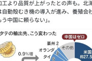 【悲報】中国「もう日本産のホタテ買わん」日本「やめてえええ！」→結果ｗｗｗ