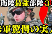 【画像】自衛隊最強と謡われる特殊部隊がこれ　滅茶苦茶強そうなんだが勝てんの？？笑