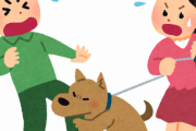 買い物帰りに若い女が飼ってる犬に噛まれた結果ｗｗｗｗｗｗｗｗ