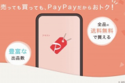 paypayフリマ「手数料最安です、設定で値下げ乞食弾けます」←メルカリに勝てない理由