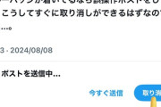 【悲報】フワさん「もしもアンチアンチコメが付くならｗ」という遊びを誤送信しただけだったｗ