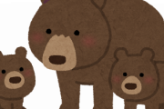 【対処法】おまえら「熊に会ったら逃げるな！目を会わせるな！背を向けるな！」　ワイ「」