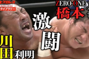 橋本真也ってそんな凄いプロレスラーか？