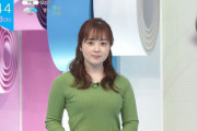 【画像】水卜麻美アナの勤労感謝おっぱい　つづき　※GIFあり