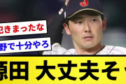 【本当か？】源田 大丈夫そう【反応集】【プロ野球反応集】【2chスレ】【1分動画】【5chスレ】