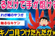 【2ch面白いスレ】触るだけで手が熔けるキノコ見つけたww【ゆっくり解説】