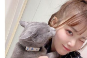 AV女優さん、猫大好きおじさんに逆ギレ激怒