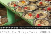 【悲報】ウクライナ「北朝鮮兵さん、投降すれば1日3食、肉付きで提供するよ♥」