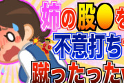 【2ch面白いスレ】姉がクソビッチの真似して股○蹴ってきたから復讐したったww【ゆっくり解説】