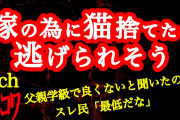 【2ch】嫁と生まれてくる子のために猫捨てたら逃げられそう【ヒトコワ】