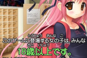 【朗報】エロゲ「未成年じゃない！！！でも学園なんだ！！！」