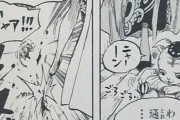 【ワンピ】ハンコック、クズだった……