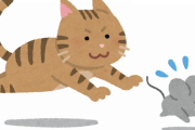 【衝撃】猫がネズミを目の敵にする理由、『コレ』だったｗｗｗｗｗｗ