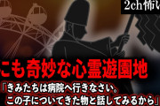 【2ch怖いスレ】世にも奇妙な心霊遊園地。神主「きみたちは病院へ行きなさい。この子についてきた物と話してみるから」【ゆっくり解説】