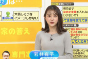 【画像】TBS若林有子アナのニット乳がエッチチｗｗｗ ※gifあり
