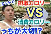 【朗報】カロリー制限は筋肉を若返らせ、健康に重要な生物学的経路が活性化される事が判明