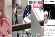 【朗報】シャブ決めて女性を轢き殺したヤク中まんさんに懲役5年という超重罪が確定！！！！