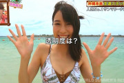 木寺莉菜、水着姿で沖縄ビーチをリポート！サマーリゾート画像がエロすぎる！