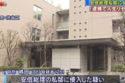 【悲報】首相官邸に侵入して逮捕された女、なんJ民だった