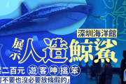【悲報】中国の水族館、主役のジンベエザメがロボットだとバレ炎上