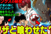 シャンクス(懸賞金10億)が近海の主に腕を食われた理由考えろ