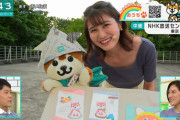 【画像】NHKのお天気キャスターさん、巨乳をアピールしてしまう