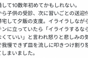 【悲報】主婦まんさん「朝から休みなく忙しいのに家事を手伝わない夫にイライラし皿を割りました」→不機嫌ハラスメントだと炎上