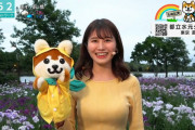 【画像】このNHKの気象予報士が巨乳で人気になってしまう