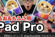 ヒカキン、飼い猫のためにiPadProフルスペックを2台購入するｗｗｗｗｗｗｗｗｗｗｗ
