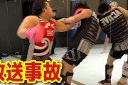 【悲報】キックボクシング界最強の男、恵体素人（185cm150kg）にボコボコにされてしまう…