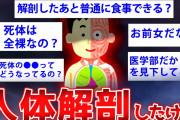 【2ch面白いスレ】人体解剖してる女が2chに降臨した結果www【ゆっくり解説】