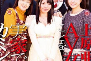 上原亜衣のあのAV、嘘だった